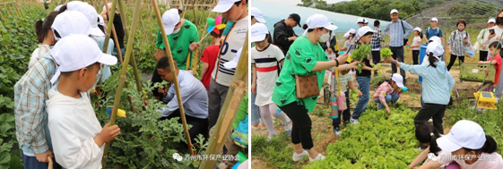 “六五环境日”主题系列活动（一）——生物多样性科普公益亲子活动成功举办