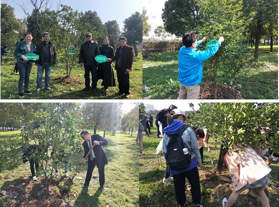 种下一棵树 收获万点绿 校企共建生态林——植树节系列活动之一植树活动